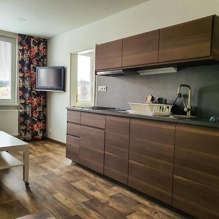 Apartmany Schmiedeberg U Klinovce Kovářská Exteriör bild